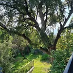 Les Roches Appartement Mandelieu