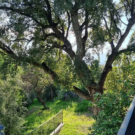Les Roches Apartman Mandelieu