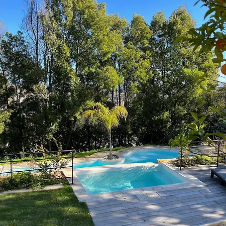 Les Roches Apartman